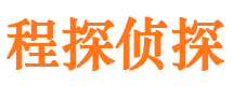 拉孜寻人公司